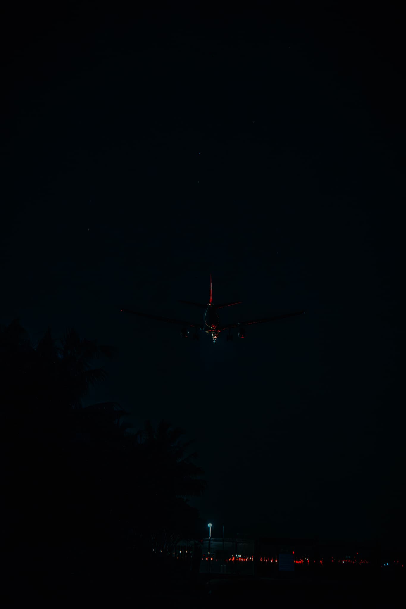 DSC03484
