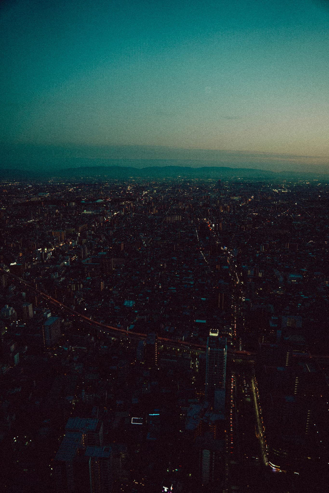 DSC05387